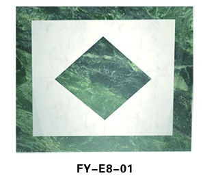 FY-E8-01